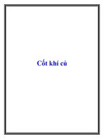 Cốt khí củ pdf