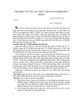 Tìm hiểu về tái cấu túc trong doanh nghiệp bảo hiểm doc