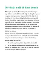 Kỹ thuật nuôi dế kinh doanh potx
