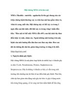 Hội chứng MMA trên heo nái pot