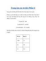 Trọng âm các từ dài (Phần I) ppt