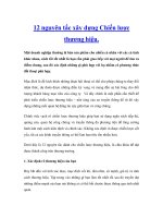 12 nguyên tắc xây dựng Chiến lược thương hiệu. docx