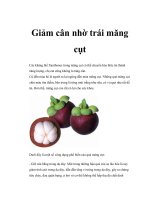 Giảm cân nhờ trái măng cụt potx