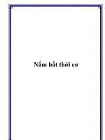 Nắm bắt thời cơ pptx