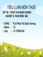 ĐỀ TÀI : THUẾ THU NHẬP DOANH NGHIỆP & THUẾ MÔN BÀI pot