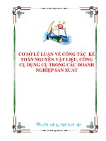 CƠ SỞ LÝ LUẬN VỀ CÔNG TÁC KẾ TOÁN NGUYÊN VẬT LIỆU, CÔNG CỤ DỤNG CỤ TRONG CÁC DOANH NGHIỆP SẢN XUẤT pptx
