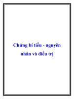 Chứng bí tiểu nguyên nhân và điều trị doc