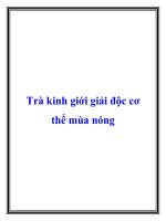 Trà kinh giới giải độc cơ thể mùa nóng potx