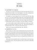 CÁC YẾU TỐ CƠ SỞ CỦA ĐỒ HỌA , CHƯƠNG 2 TÔ MÀU ppsx