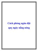 Cách phòng ngừa đột quỵ ngày nắng nóng ppt