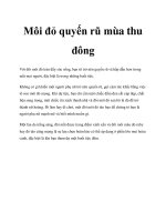 Môi đỏ quyến rũ mùa thu đông pptx