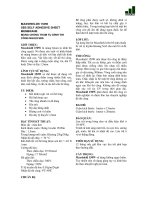 MÀNG CHỐNG THẤM TỰ DÍNH THI CÔNG NGUỘI SBS potx