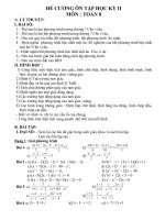 đề cương ôn tập toán 8 - HKII