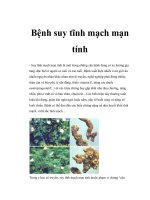 Bệnh suy tĩnh mạch mạn tính doc