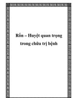 Rốn – Huyệt quan trọng trong chữa trị bệnh pptx