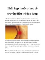 Phối hợp thuốc y học cổ truyền điều trị đau lưng pdf