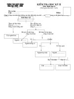 Kiem tra sinh 6 giua ki 2