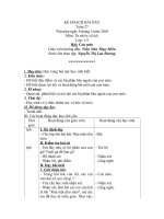 tu nhien xa hoi con meo