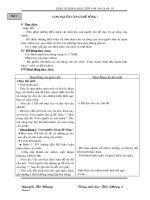 Giáo án khoa học  lớp 4 Chuẩn