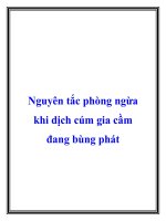 Nguyên tắc phòng ngừa khi dịch cúm gia cầm đang bùng phát potx