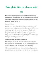 Bón phân hữu cơ cho ao nuôi cá pot