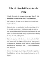 Điều trị viêm da tiếp xúc do côn trùng doc