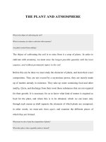 THE PLANT AND ATMOSPHERE ppsx