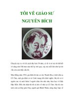 TÔI VẼ GIÁO SƯ NGUYỄN BÍCH pot