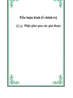 tiểu luận triết học  phật giáo qua các giai đoạn