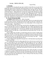 GA Bôì dưỡng HSG Ngữ Van8