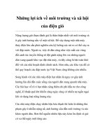 Những lợi ích về môi trường và xã hội của điện gió pptx