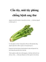 Cần tây, mùi tây phòng chống bệnh ung thư docx