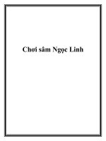 Chơi sâm Ngọc Linh doc