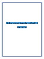 Cà chua nấu chín làm chậm và tiêu diệt tế bào ung thư potx