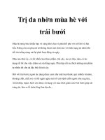 Trị da nhờn mùa hè với trái bưởi pdf