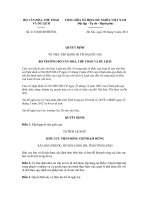 Quyết định số 2133/QĐ-BVHTTDL pot