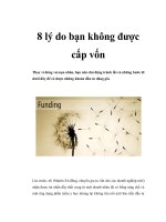 8 lý do bạn không được cấp vốn pptx