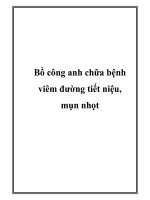 Bồ công anh chữa bệnh viêm đường tiết niệu, mụn nhọt potx