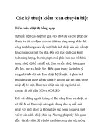 Các kỹ thuật kiểm toán chuyên biệt docx