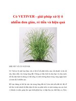 Cỏ VETIVER - giải pháp xử lý ô nhiễm đơn giản, rẻ tiền và hiệu quả potx