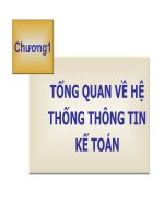 Chuong 1_Tong quan ve HTTTKeToan potx