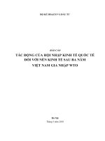 tác động của hội nhập kinh tế quốc tế đối với nền kinh tế sau ba năm việt nam gia nhập wto