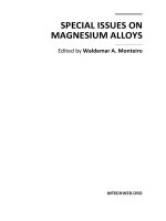 SPECIAL ISSUES ON MAGNESIUM ALLOYS ppsx