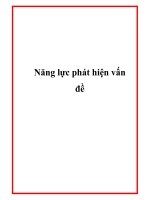 Năng lực phát hiện vấn đề potx