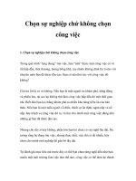 Chọn sự nghiệp chứ không chọn công việc potx