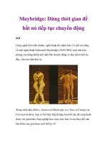 Muybridge: Dừng thời gian để bắt nó tiếp tục chuyển động pot