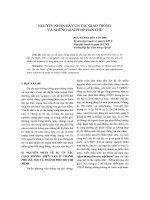 báo cáo khoa học  'nguyên nhân gây ùn tắc giao thông và những giải pháp hạn chế'