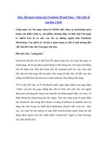 Thay đổi quan trọng của Facebook Brand Page – Nút Like là con dao 2 lưỡi pdf