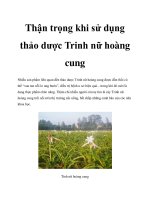 Thận trọng khi sử dụng thảo dược Trinh nữ hoàng cung pot