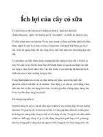 Ích lợi của cây cỏ sữa docx
